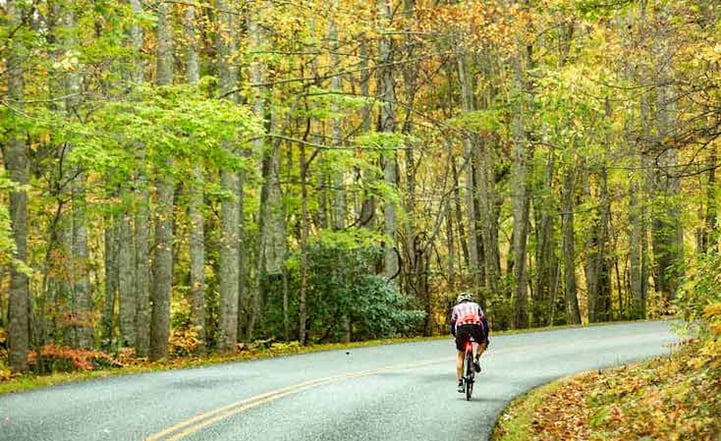 AdobeStock_401561816-extra-small