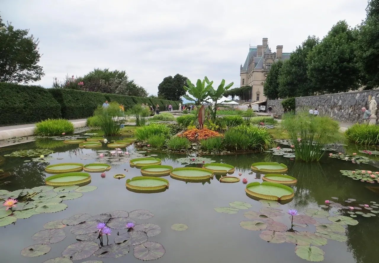 biltmore-garden